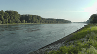 Rhein km368