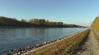 Rhein bei km370_2